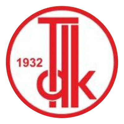 tdk.webp
